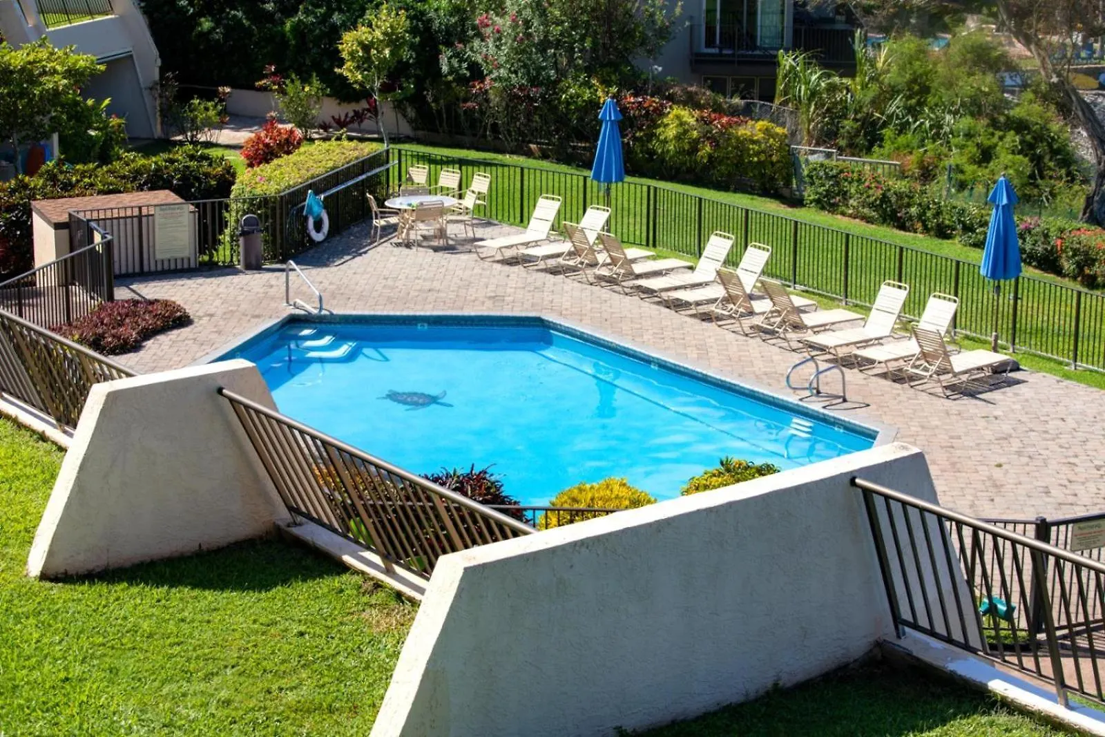 Kbm Resorts Free Car Napili Point Nap-C31 Ocean Front Spacious Beach Amenities Kapalua