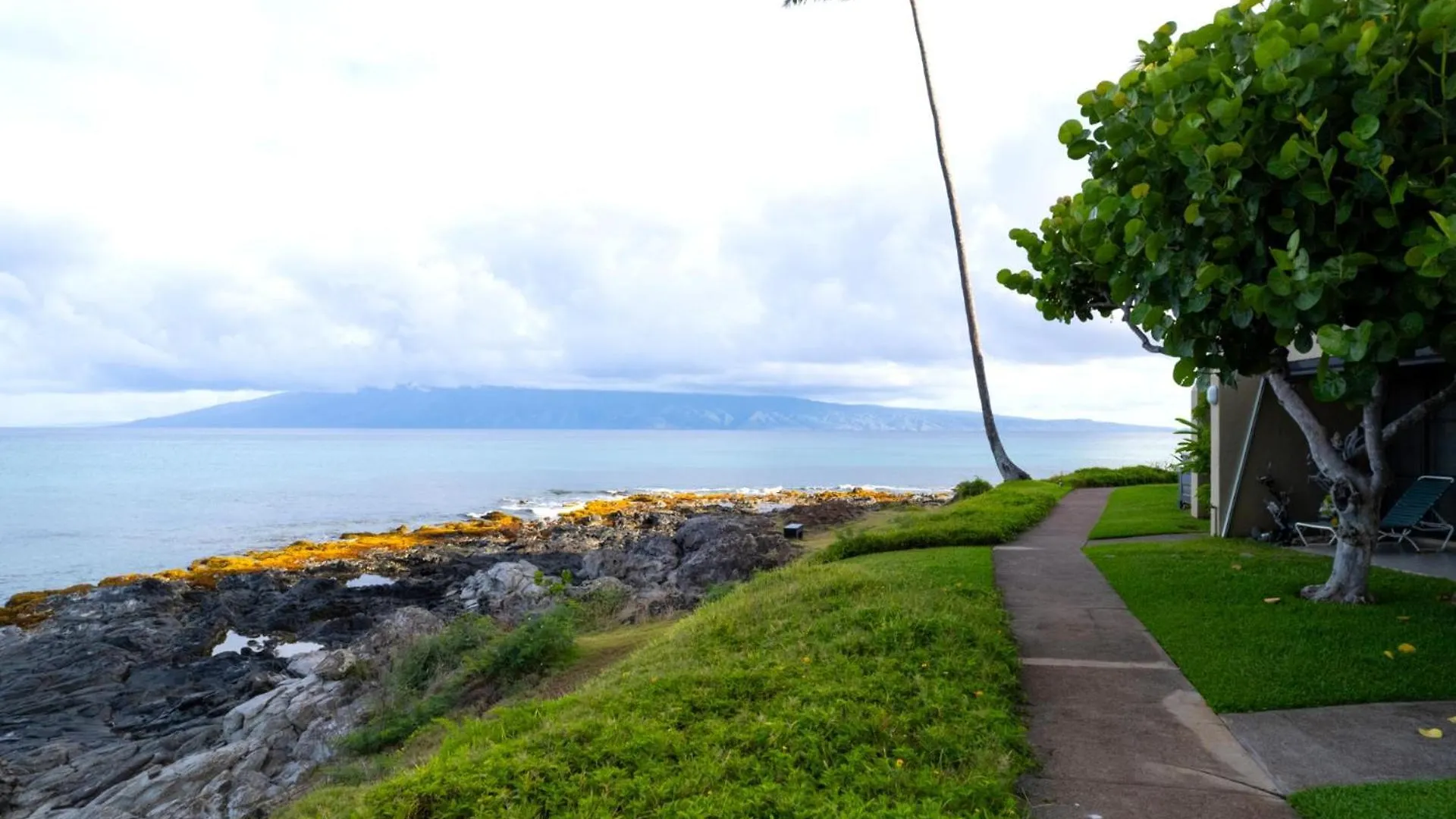 Apartment Kbm Resorts Free Car Napili Point Nap-C31 Ocean Front Spacious Beach Amenities Kapalua